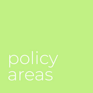 policy areas